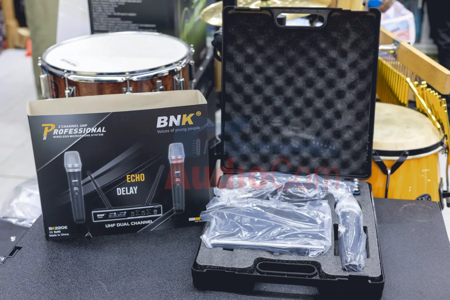 BNK BK220E mic range