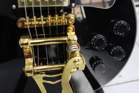 Professional guitar