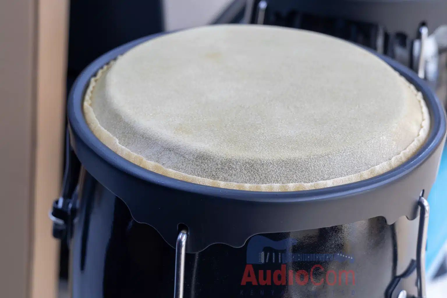 DC conga drum price
