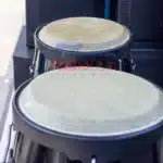 DC Conga Drums