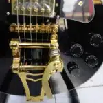 Gibson Full Body Rhythm