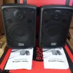 Soundking FP208 Professional Speaker