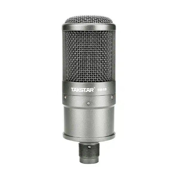professional recording microphone