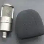 Condenser Mic Sponge