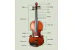 violin instrument anatomy