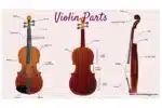 violin instrument