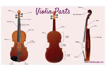 violin instrument