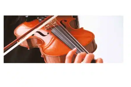 violin instrument