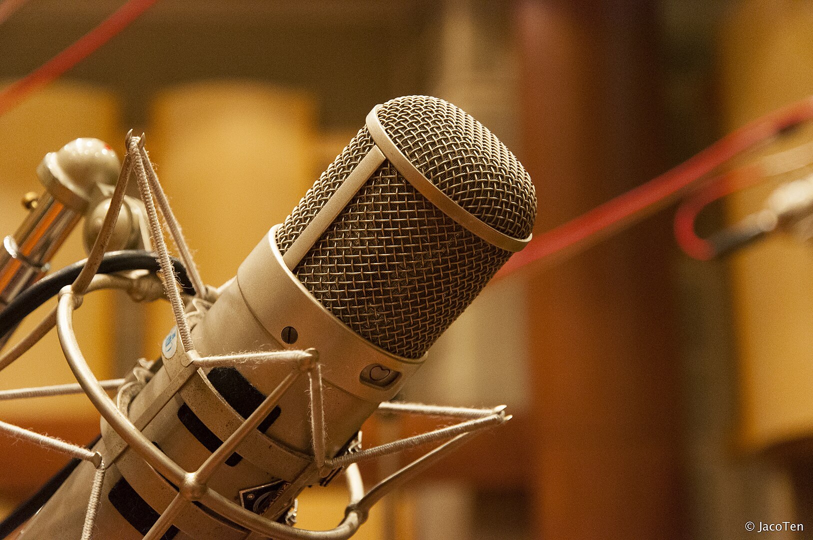 neumann microphone