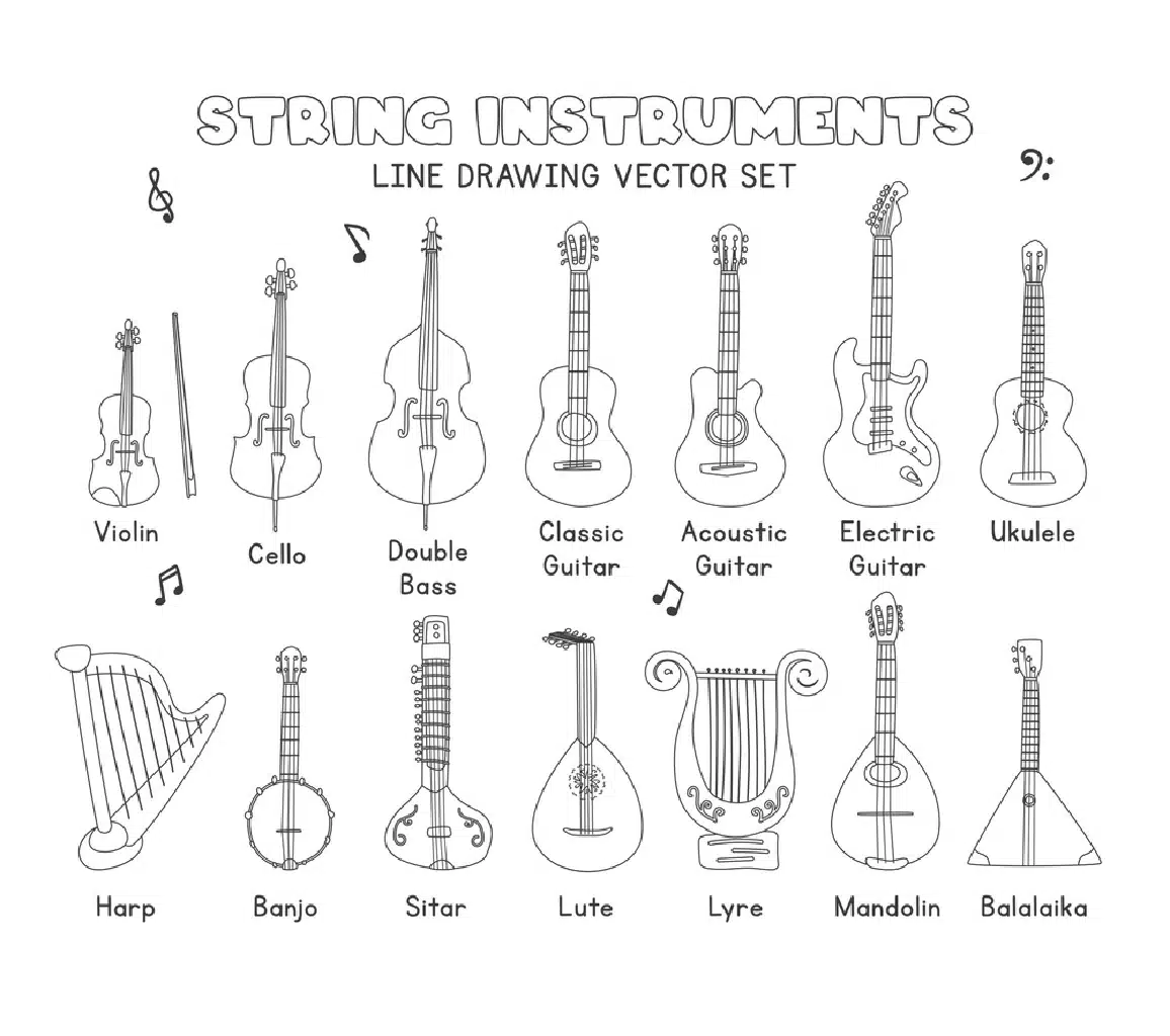 string instrument types