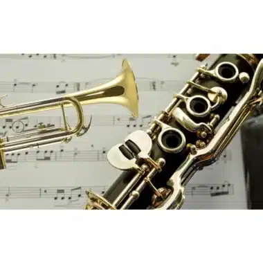Discover the Rhythm: Best Percussion Instruments in the 21st Century