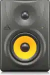 Behringer Truth B1030A