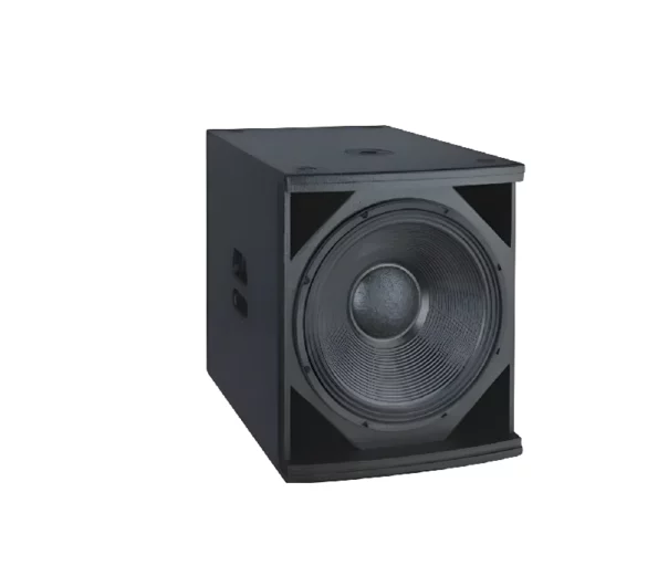 Thunder Sound TS1 18 Subwoofer