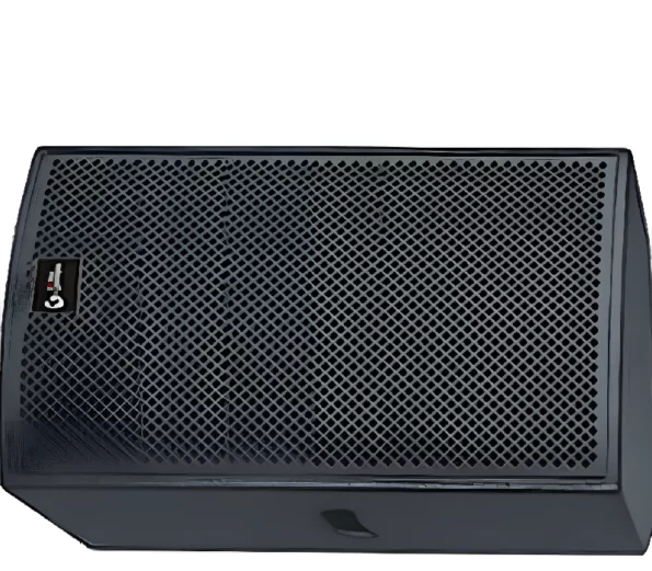 Thunder Sound TS115 Speaker