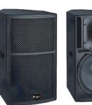 Thunder-Sound-TS1-12-Two-way-full-range-loudspeaker-system-1-scaled