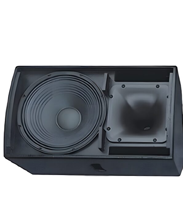 Thunder Sound TS1 12