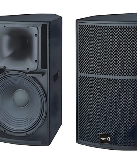 Thunder Sound TS1 12 Loudspeaker System