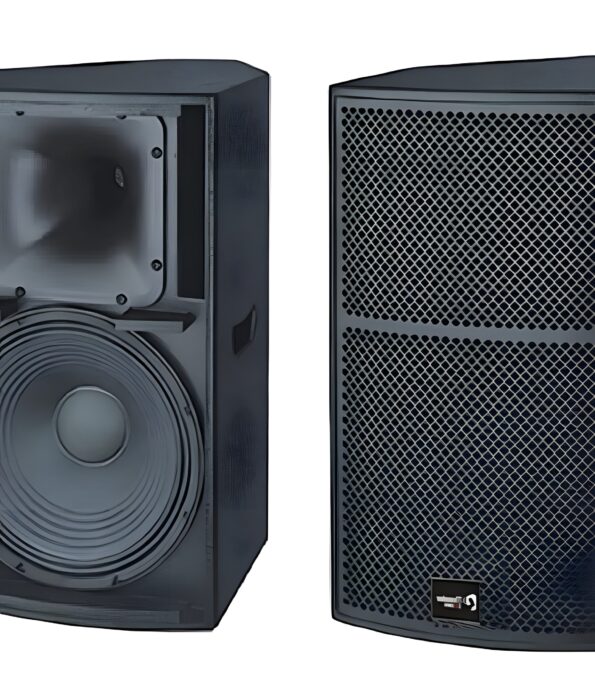 Thunder Sound TS1 12 Loudspeaker System