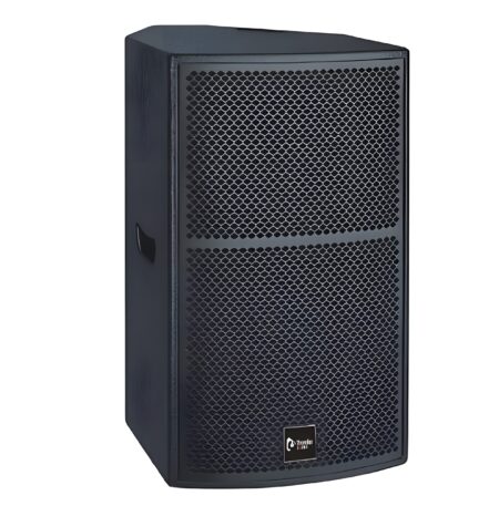 TS1 12 Loudspeaker System