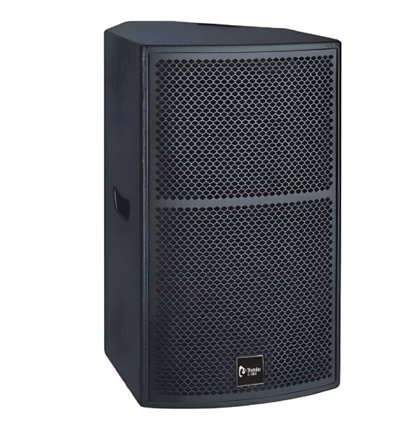 TS1 12 Loudspeaker System