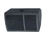 Thunder Sound TS110