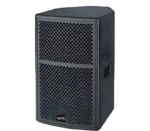 Thunder Sound TS110