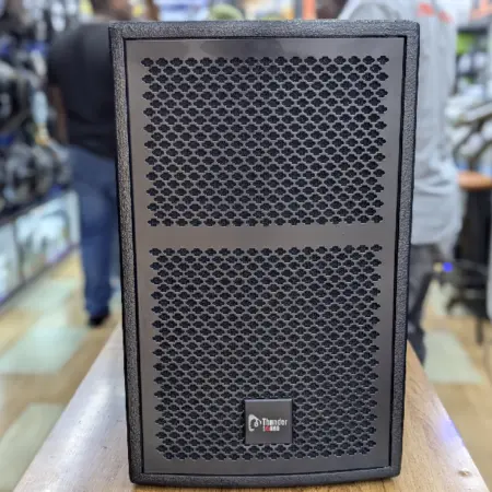 Thunder Sound TS110