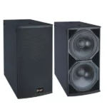 TS228 Subwoofer