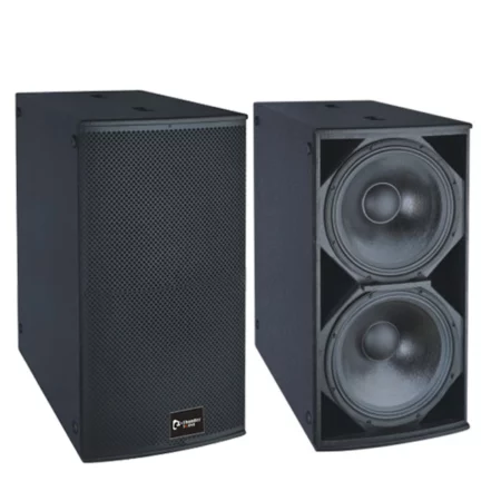 TS228 Subwoofer