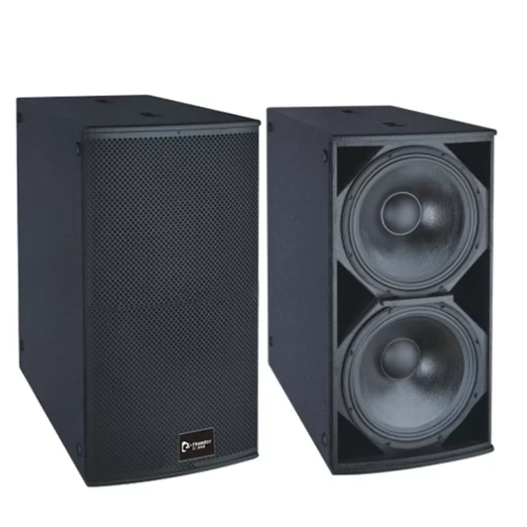 TS228 Subwoofer