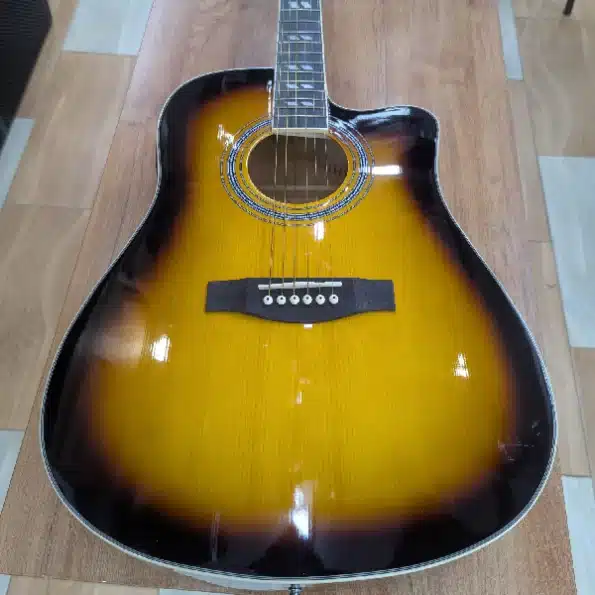 Acoustic Guitar