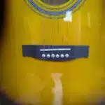 Ibanez acoustic for folk music