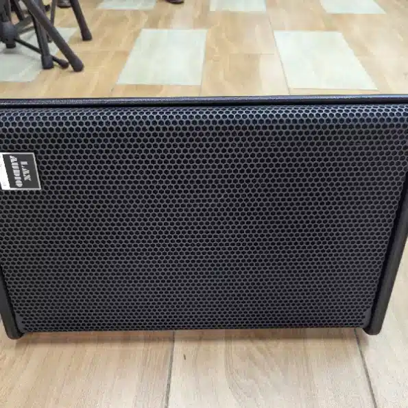 LAX Audio PS10 speaker