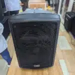 Soundking FP210A DJ speaker price Nairobi