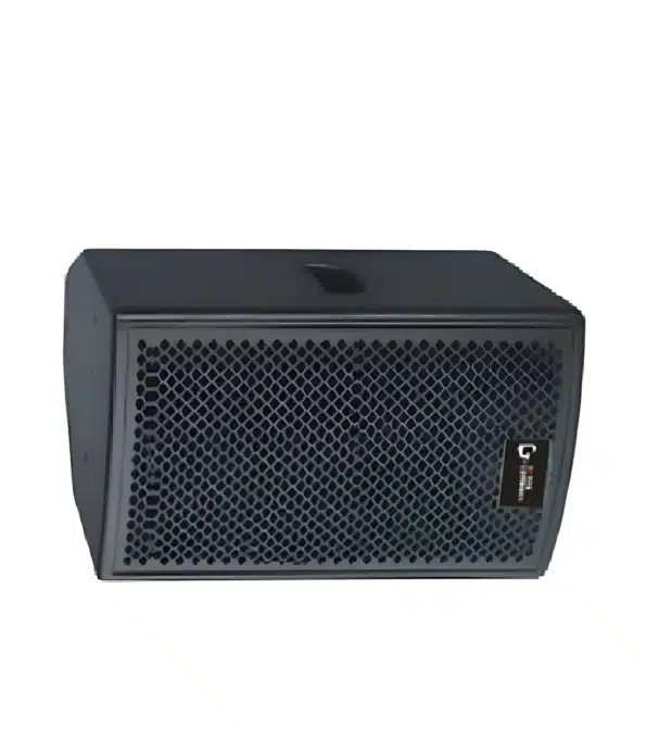Thunder Sound TH110 Passive Speaker