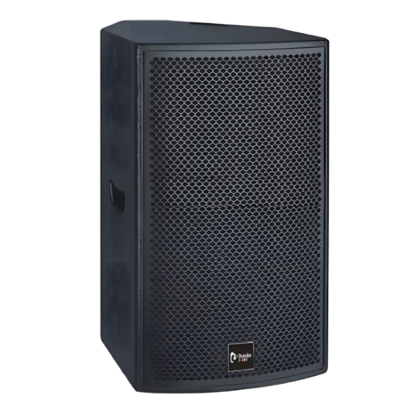 TH110 Passive Speaker