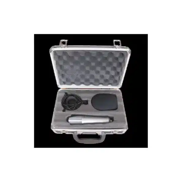 Takstar SM-10B mic