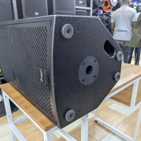 Thunder Sound TS 112 Speaker