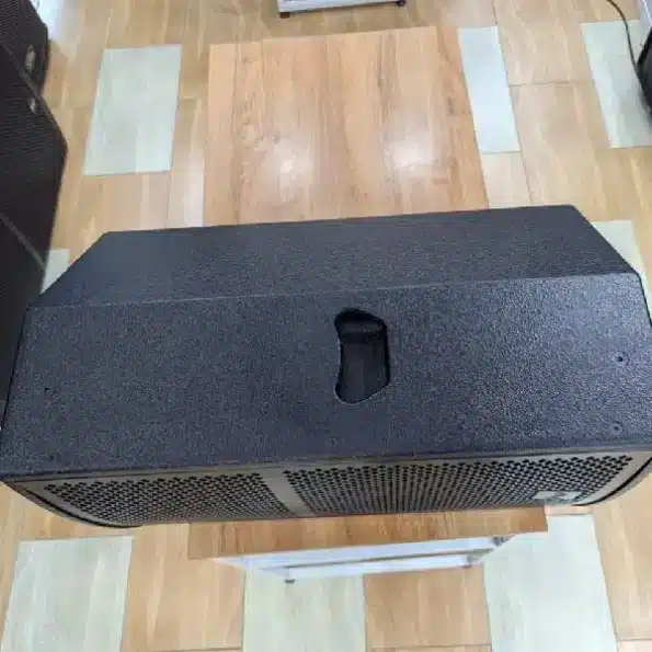 Thunder Sound 400W RMS speaker