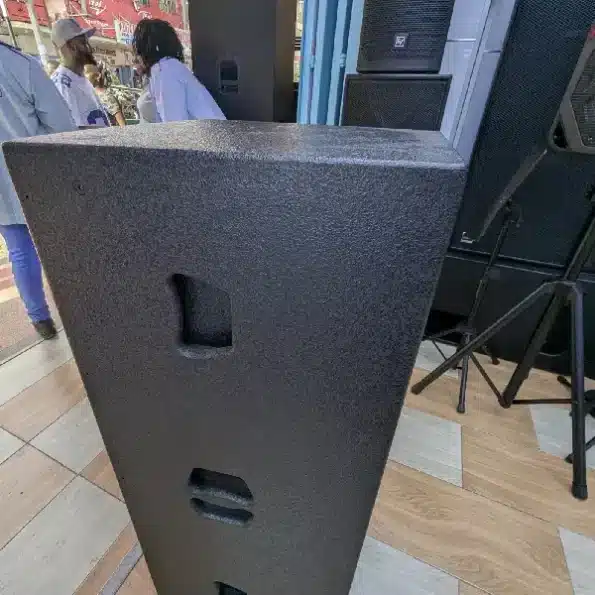 Thunder Sound professional speaker