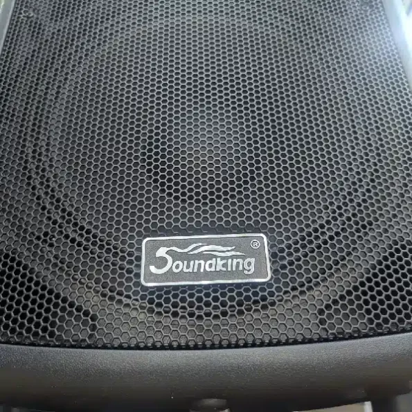 Soundking FP215A live sound speaker