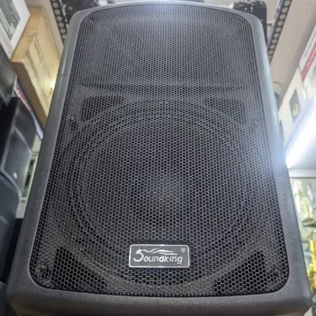 Soundking FP215A