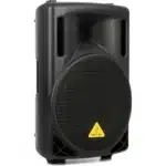 12 inch Speaker (2)