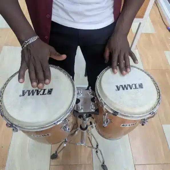 Tama Conga with Natural Head