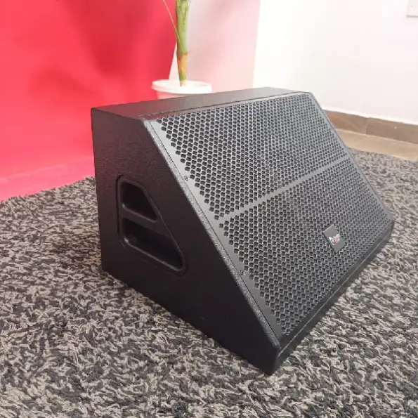 Thunder Sound TS112M