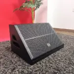 Thunder Sound TS112M (2)