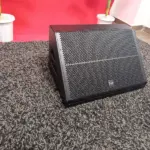 Thunder Sound TS115M