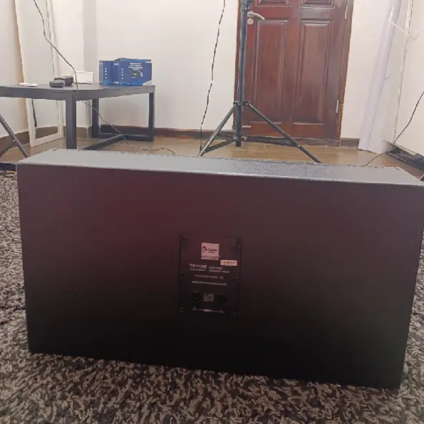 professional stage wedge