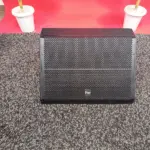 Thunder Sound TS115M