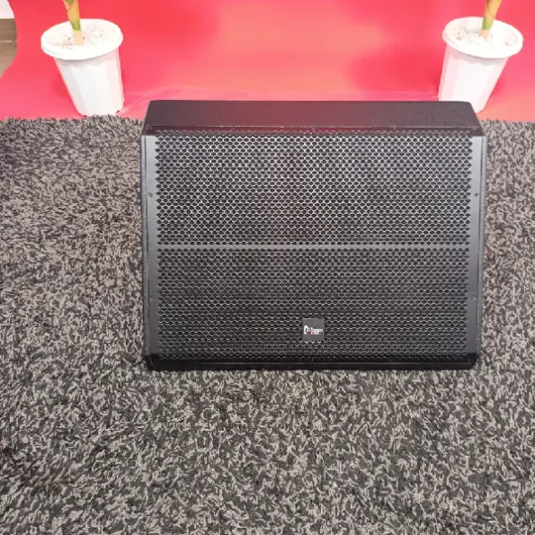 500W RMS stage monitor